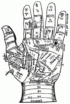 Hand and Palm Analysis Pic