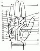 Hand Analysis Pic